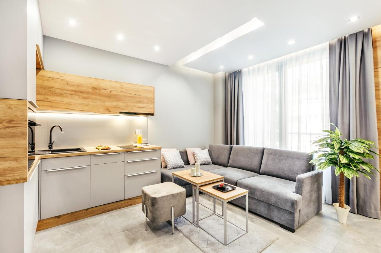 Golden Queen Apartments Old Town 克拉科夫 外观 照片